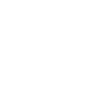 Quantum Logo